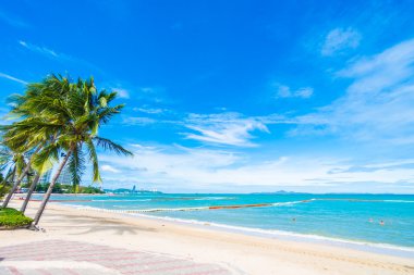 Güzel sahil ve deniz