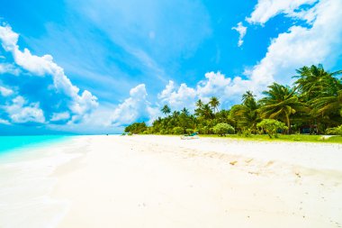 Güzel tropikal Maldivler ada