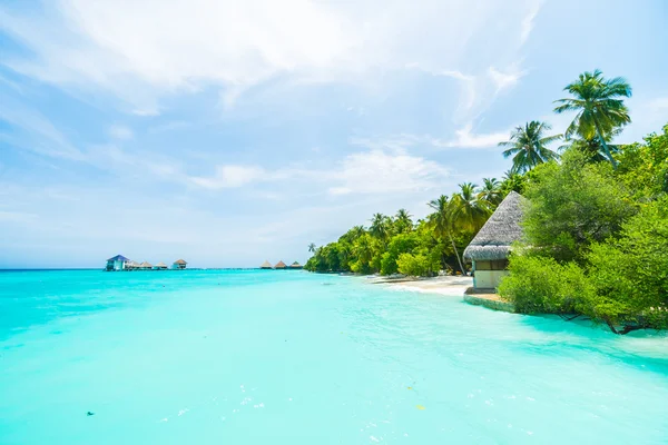 Beaux Maldives tropicales — Photo