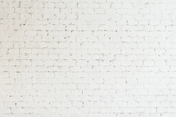 Mur en brique blanche — Photo