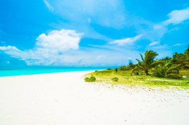 Güzel tropikal Maldivler ada