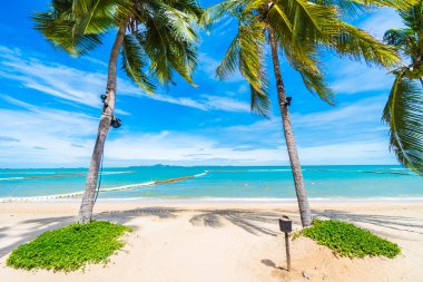 Güzel sahil ve deniz