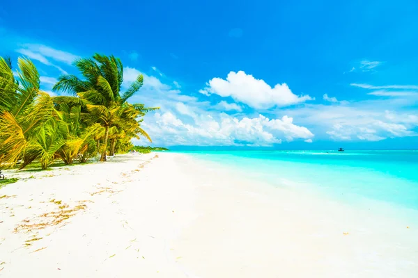 Prachtige tropische eiland van de Maldiven — Stockfoto
