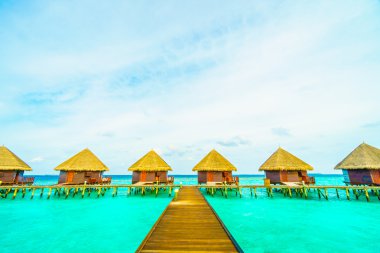 Güzel tropikal Maldivler ada
