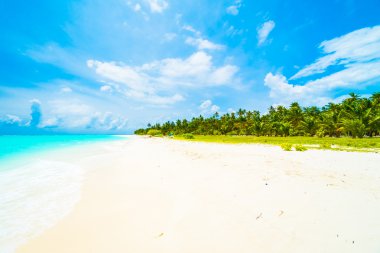 Güzel tropikal Maldivler ada