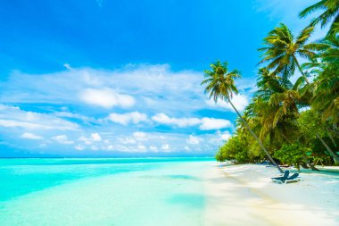 Güzel tropikal Maldivler ada