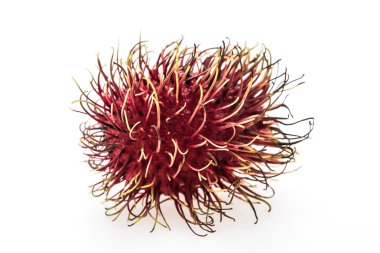 izole rambutan meyve