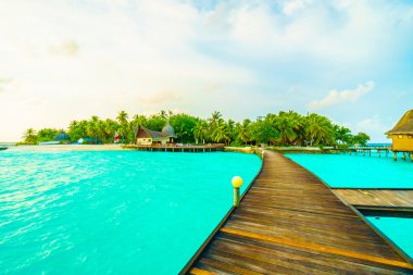 Güzel tropikal Maldivler ada