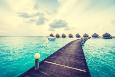 Güzel tropikal Maldivler ada