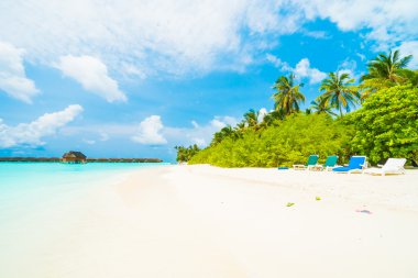 Güzel tropikal Maldivler ada