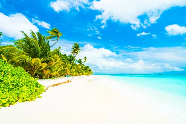 Güzel tropikal Maldivler ada — Stok fotoğraf