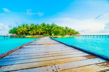 Güzel tropikal Maldivler ada