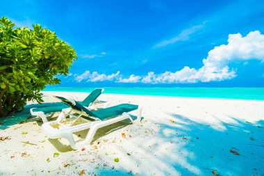 Güzel tropikal Maldivler ada