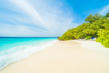 Güzel tropikal Maldivler ada