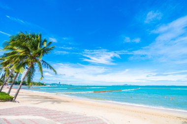 Güzel sahil ve deniz