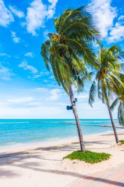 Güzel sahil ve deniz