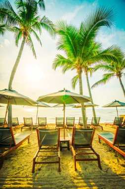 Plaj ve deniz güzel Hindistan cevizi hurma ağacı