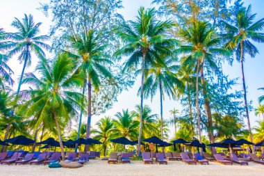 şemsiye ve sandalye