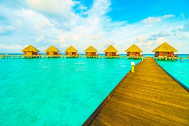 Güzel tropikal Maldivler ada