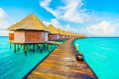 Güzel tropikal Maldivler ada