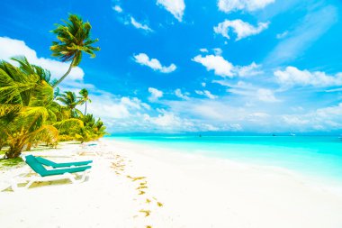 Güzel tropikal Maldivler ada