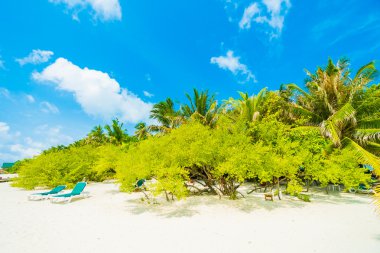 Güzel tropikal Maldivler ada