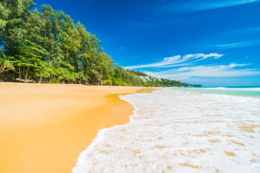 Güzel tropikal plaj ve deniz