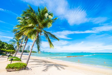 Güzel sahil ve deniz