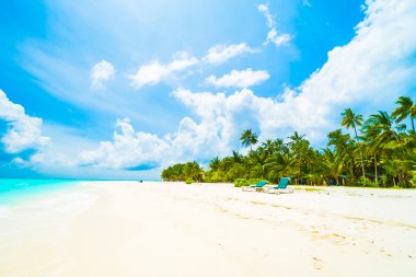 Güzel tropikal Maldivler ada