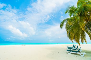 Güzel tropikal Maldivler ada