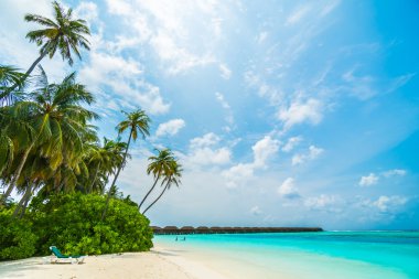 Güzel tropikal Maldivler ada