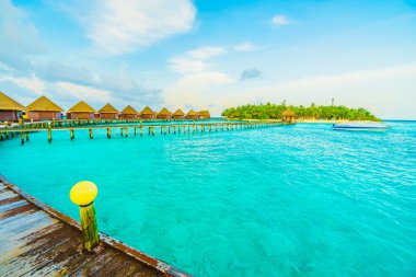 Güzel Maldivler ada