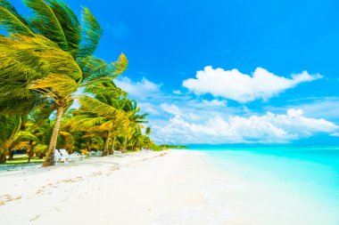 Güzel Maldivler ada