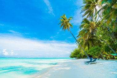 Güzel Maldivler ada