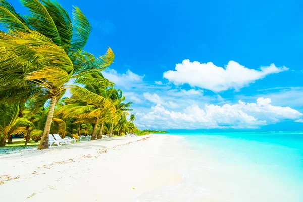 Güzel Maldivler ada