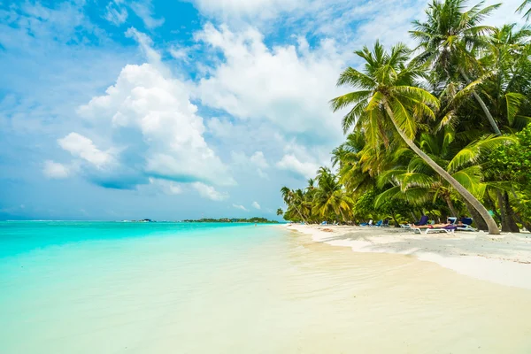 Güzel Maldivler ada