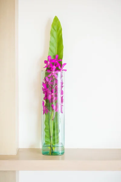 Orchid blomst i vase - Stock-foto