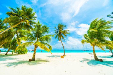 Güzel Maldivler ada