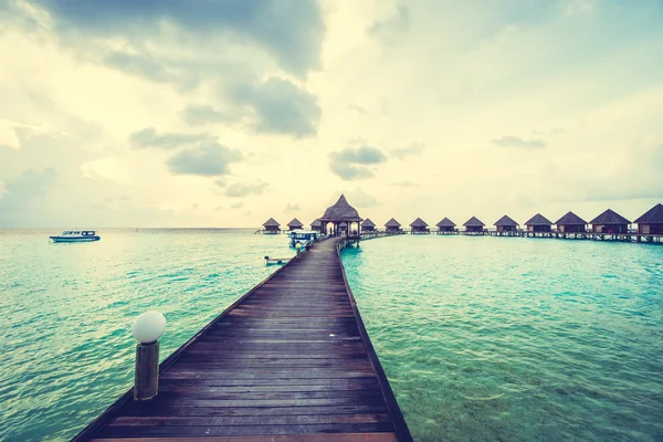 Güzel Maldivler ada