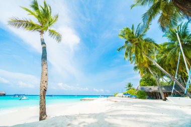 Güzel Maldivler ada