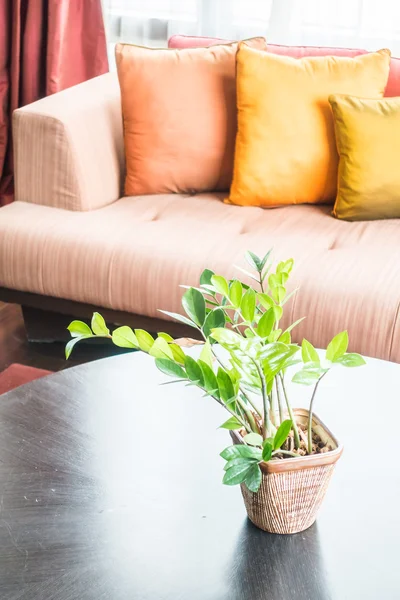 Vase plant on table — Stock Photo, Image