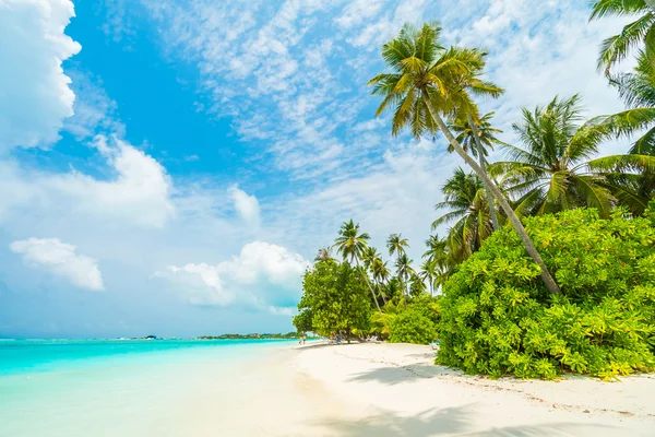 Hermosa isla de Maldivas —  Fotos de Stock