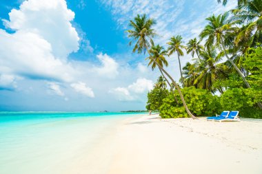 Güzel Maldivler ada