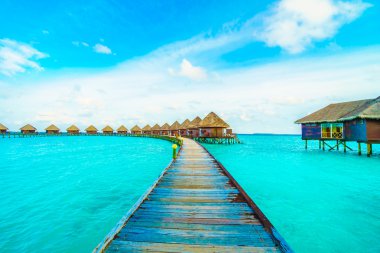 Güzel Maldivler ada