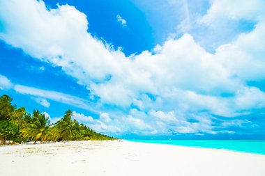 Güzel Maldivler ada