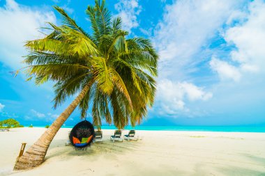 Güzel Maldivler ada