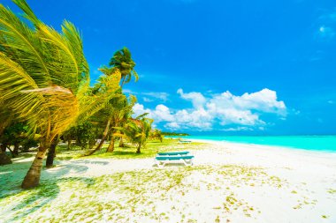 Güzel Maldivler ada