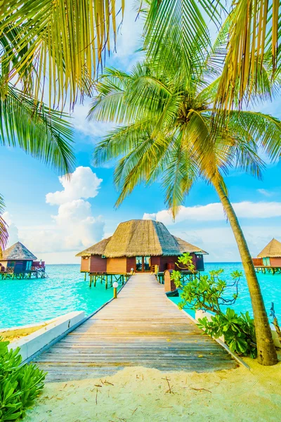 Beautiful Maldives island — Stock Photo, Image