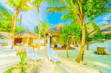 Güzel tropikal Maldivler ada