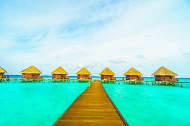 Güzel tropikal Maldivler ada